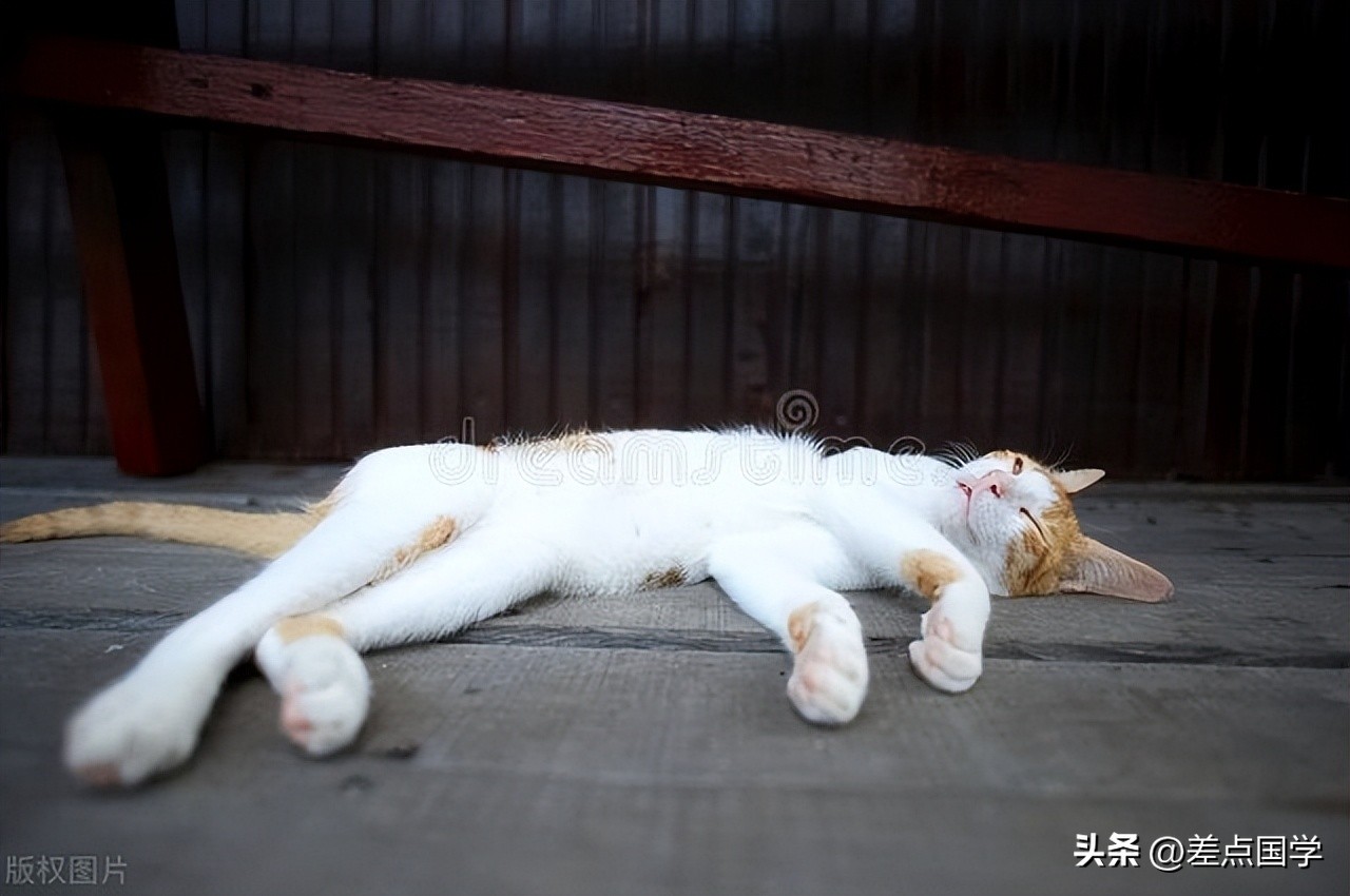 挣钱的门路与方法大全,挣钱怎么挣才是最赚钱的