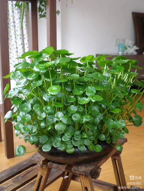 优美抒情散文朗诵,优美抒情散文