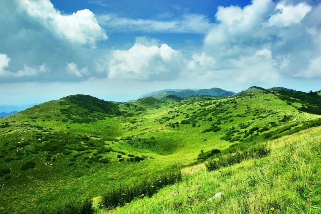 亲子周边游一天自驾游,亲子周边游去哪里