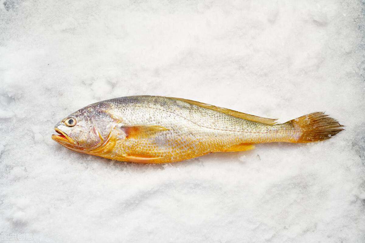 渔民一夜捕捞4900斤黄鱼,渔民一网捕获大量黄鱼