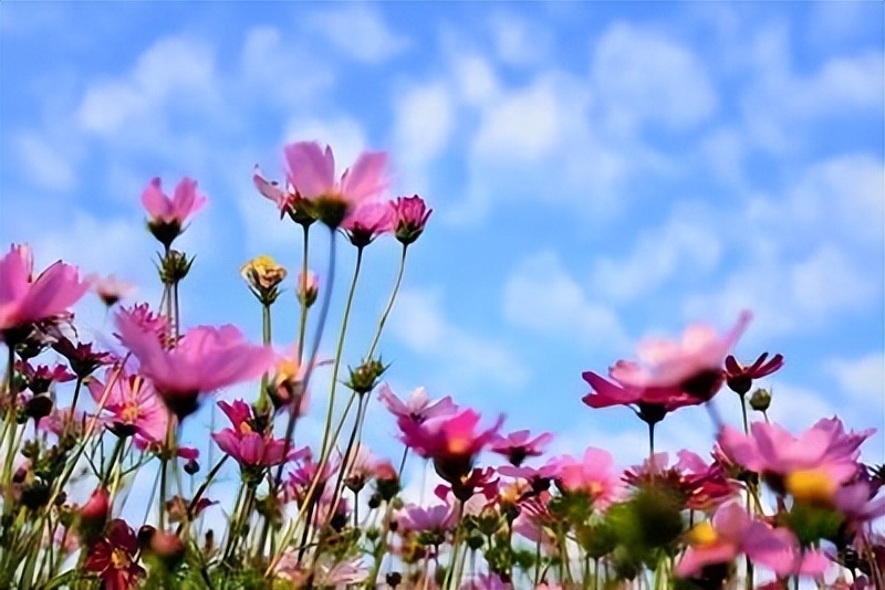 椹诲骞查儴鏃ュ父,椹诲骞查儴