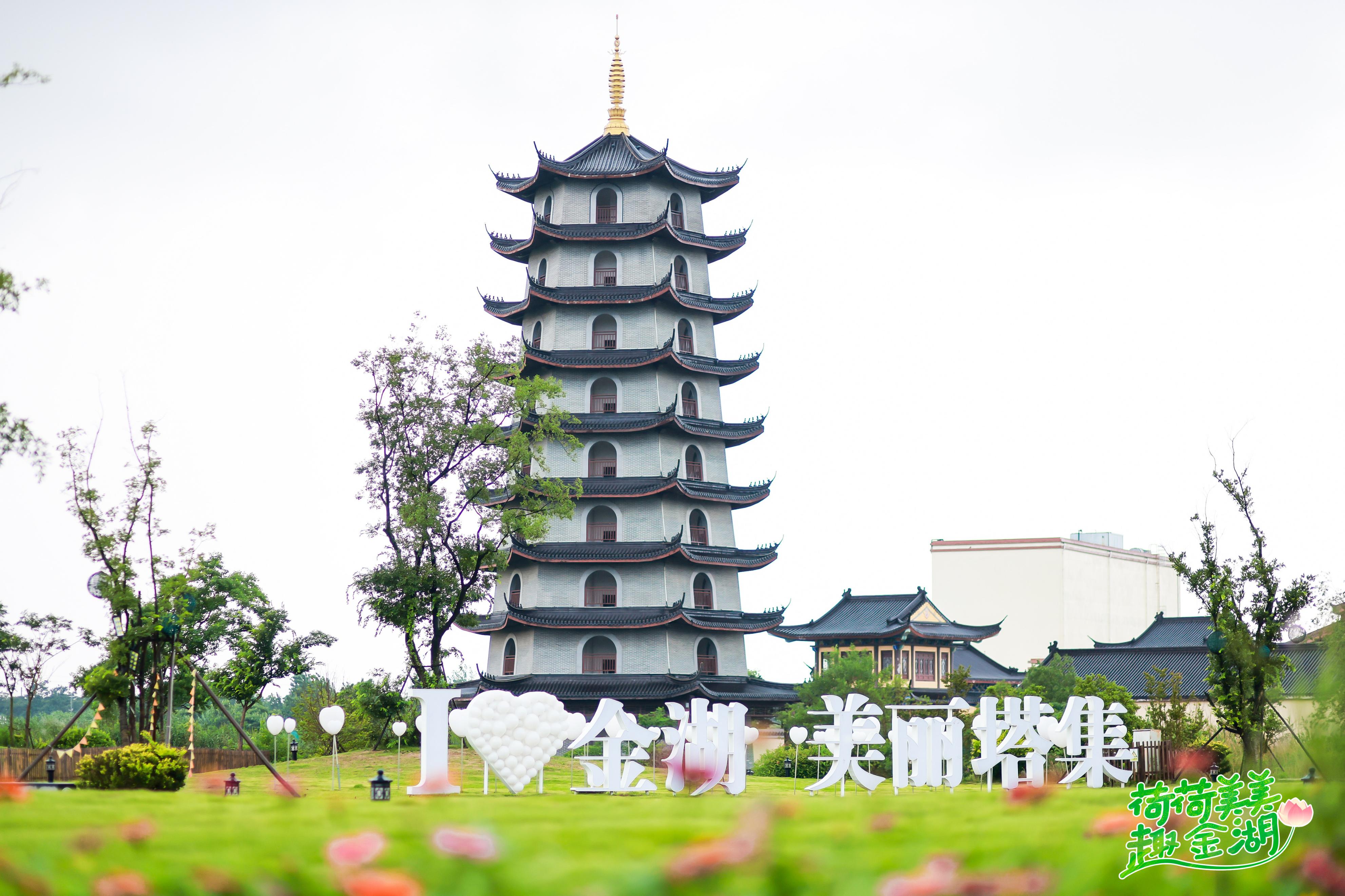 “荷荷美美趣金湖”全媒体达人采风行见证金湖美丽绽放