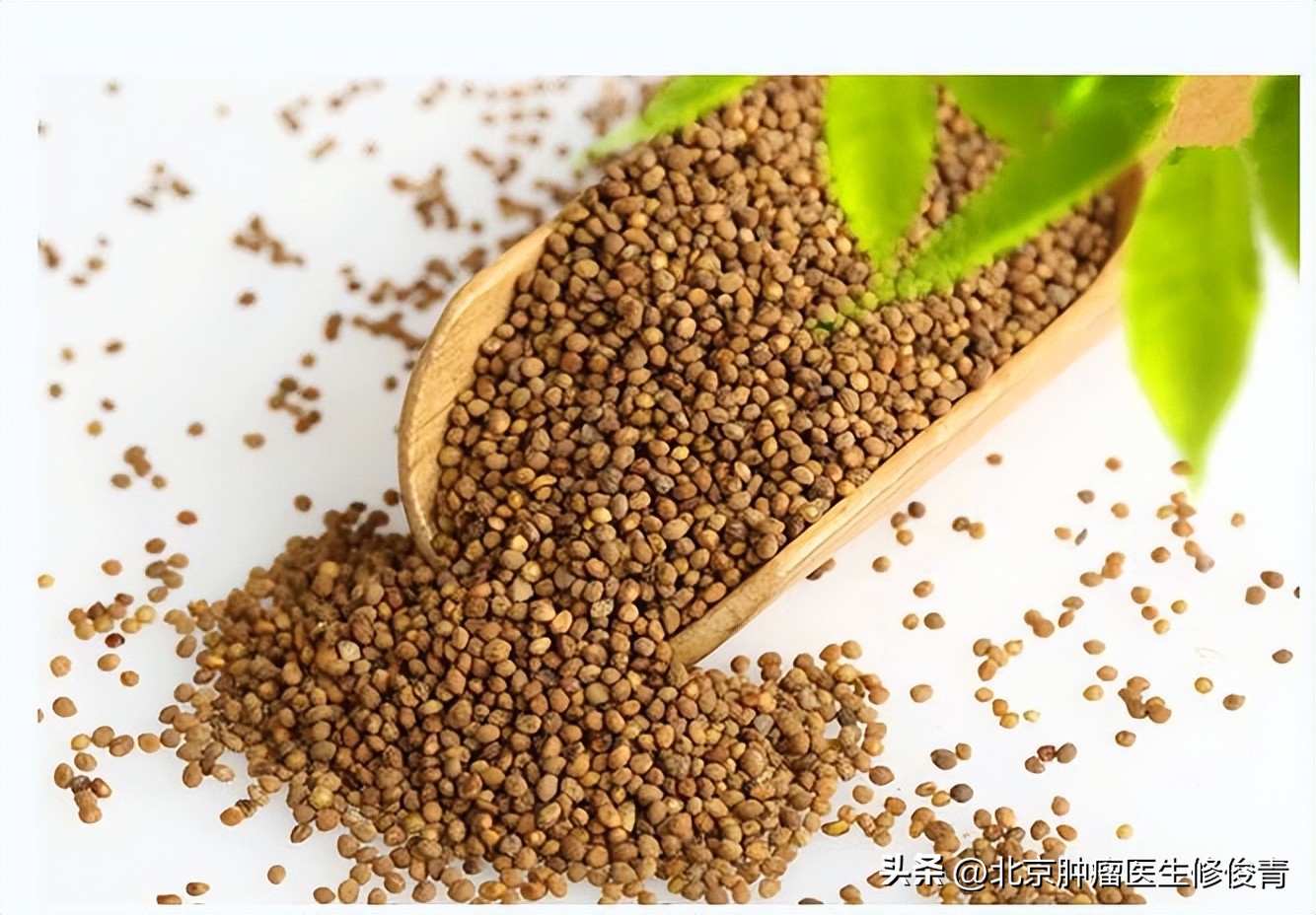 治疗乳腺癌转移的中医药方,消瘤汤中医治疗乳腺癌的经验方