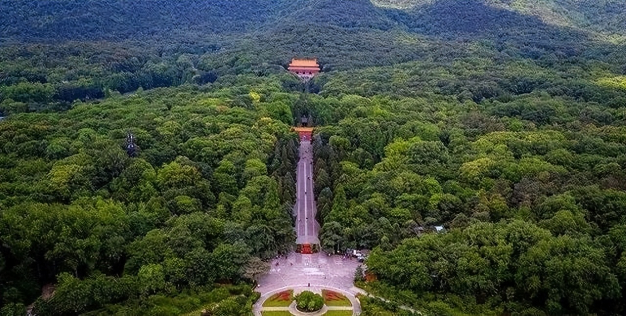 人死火化是浪费资源？动物死了进入生态循环，人类却打破自然规律