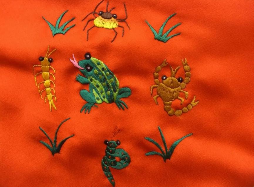 蜱虫会整个钻入身体吗,吸血蜱虫究竟有多可怕