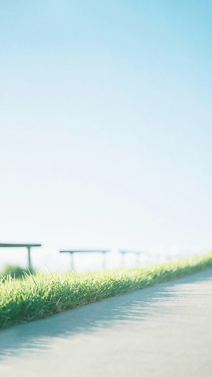 浅色壁纸高清图片花,超仙闺蜜壁纸动漫紫色和粉色