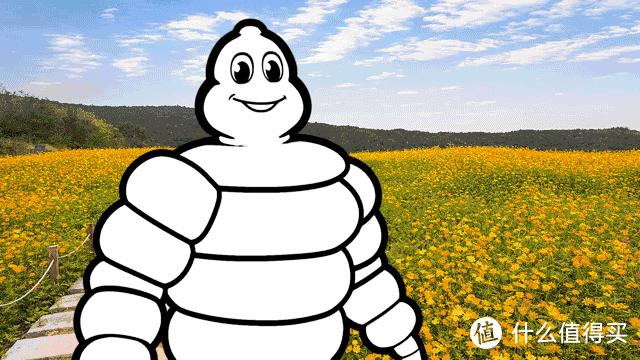 2024国产新能源轮胎排名榜,618轮胎价格表