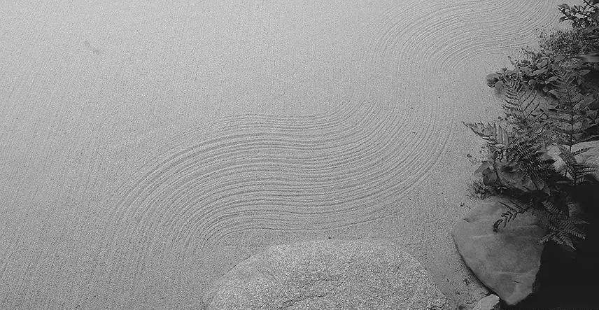 日本枯山水景观,日本枯山水中的树是什么树