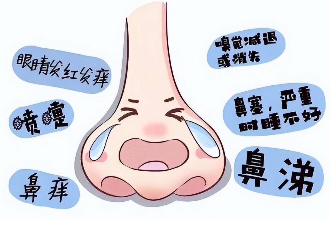 过敏性鼻炎的中医治疗方法有哪些,变应性鼻炎中医疗法