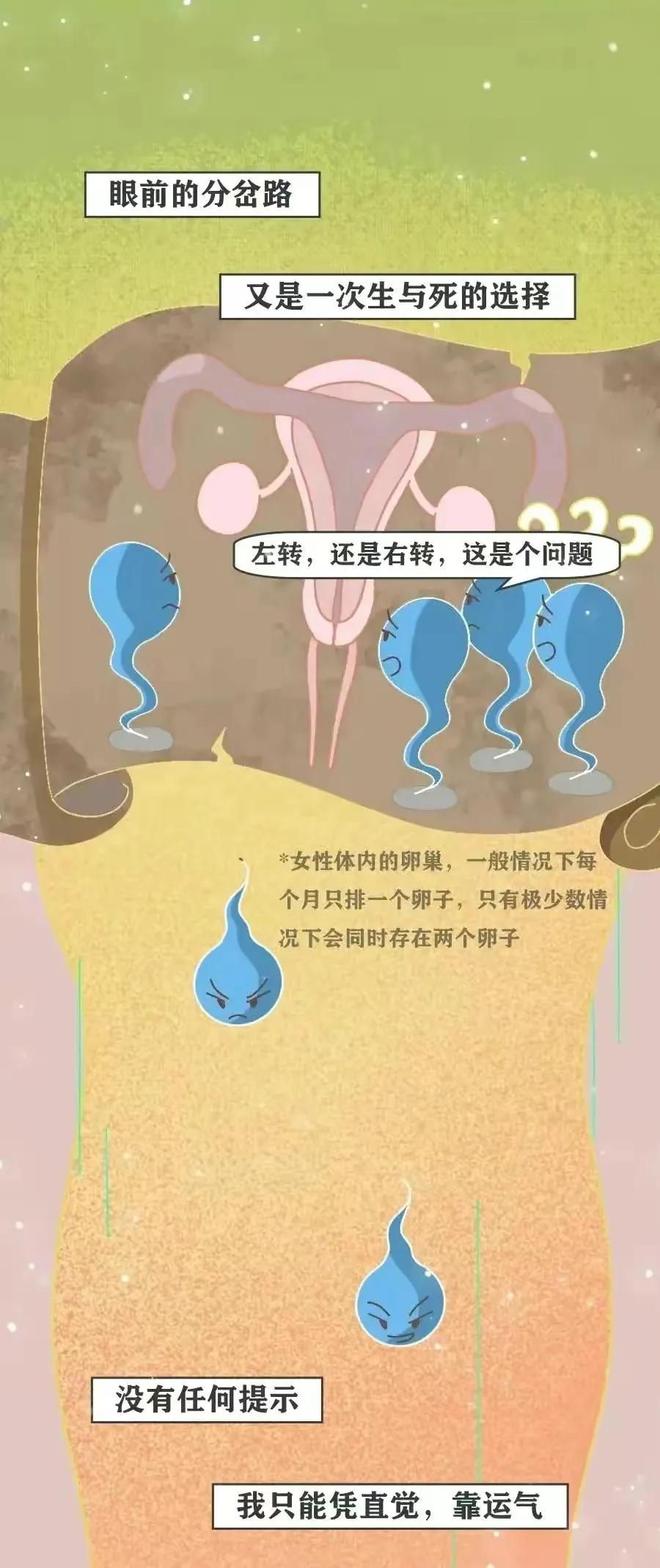 精子进入女生体内的全过程，真是一路坎坷又艰难