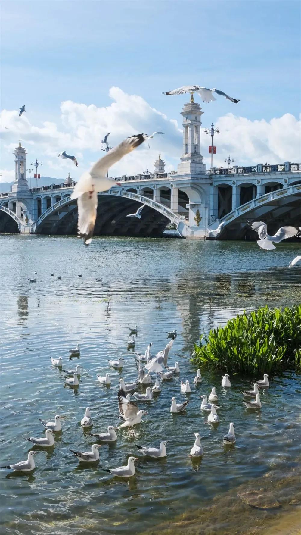 有一种生活叫大理山,有一种生活叫大理夜生活