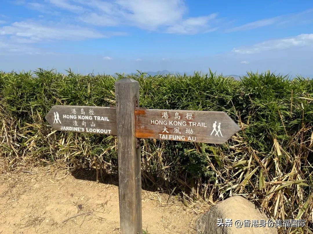 香港专才移民办理流程有哪些,普通人移民香港最简单的方法