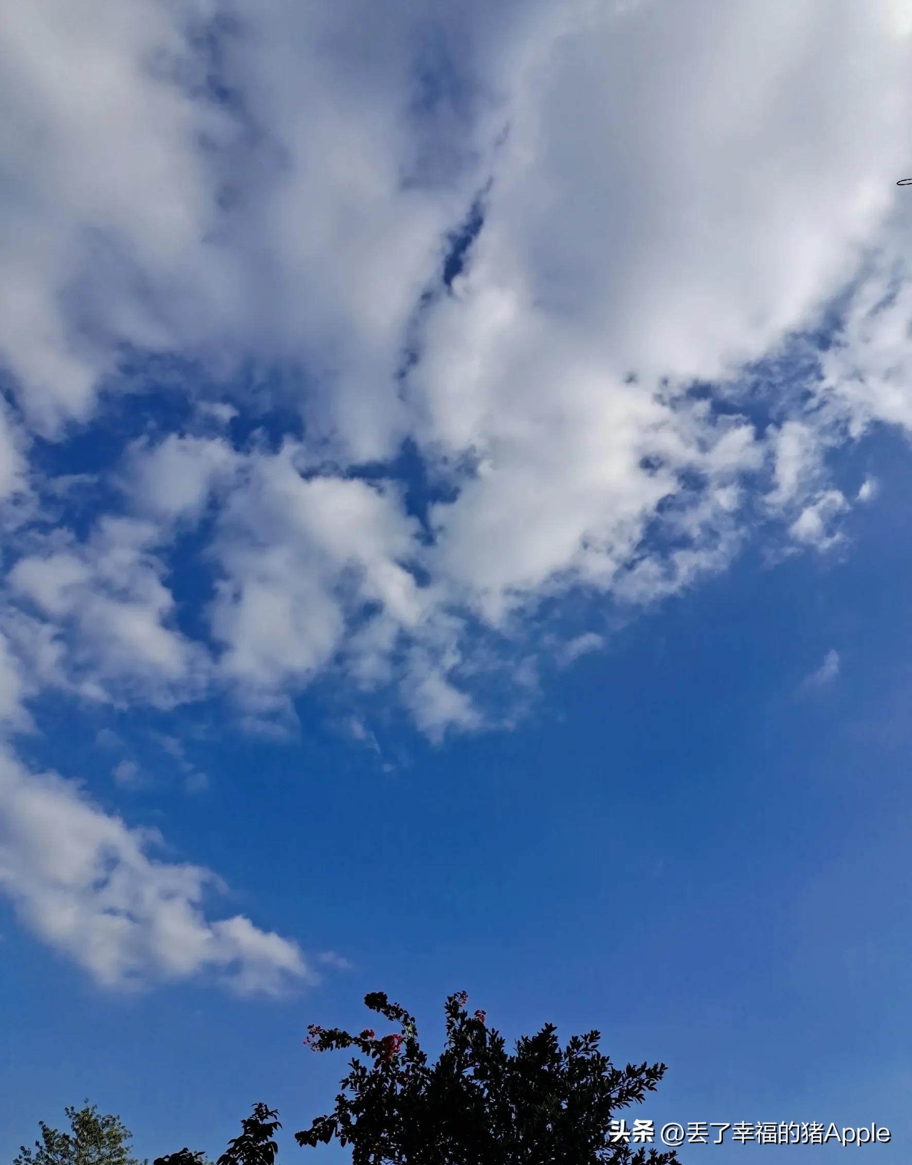 抄书打卡第四天《生活就像一本故事书》第一章读后感③