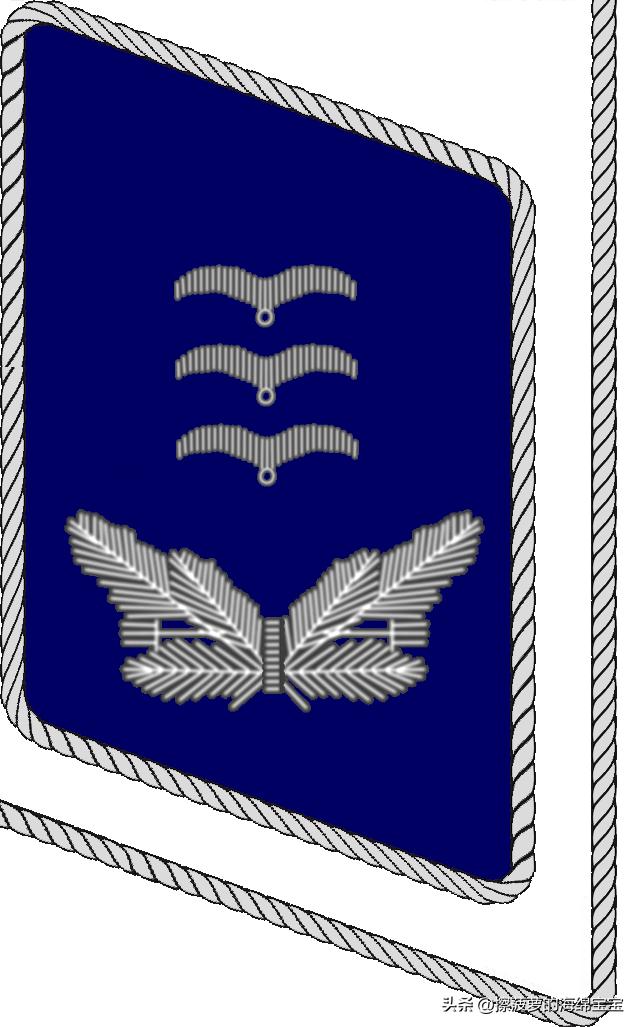 二战德国国防军医疗兵军衔标志