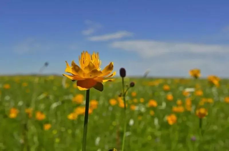 张北草原天路风景,张北草原天路路线