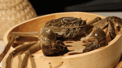 金秋时节与大闸蟹的一场美味邂逅,金秋吃蟹好时节