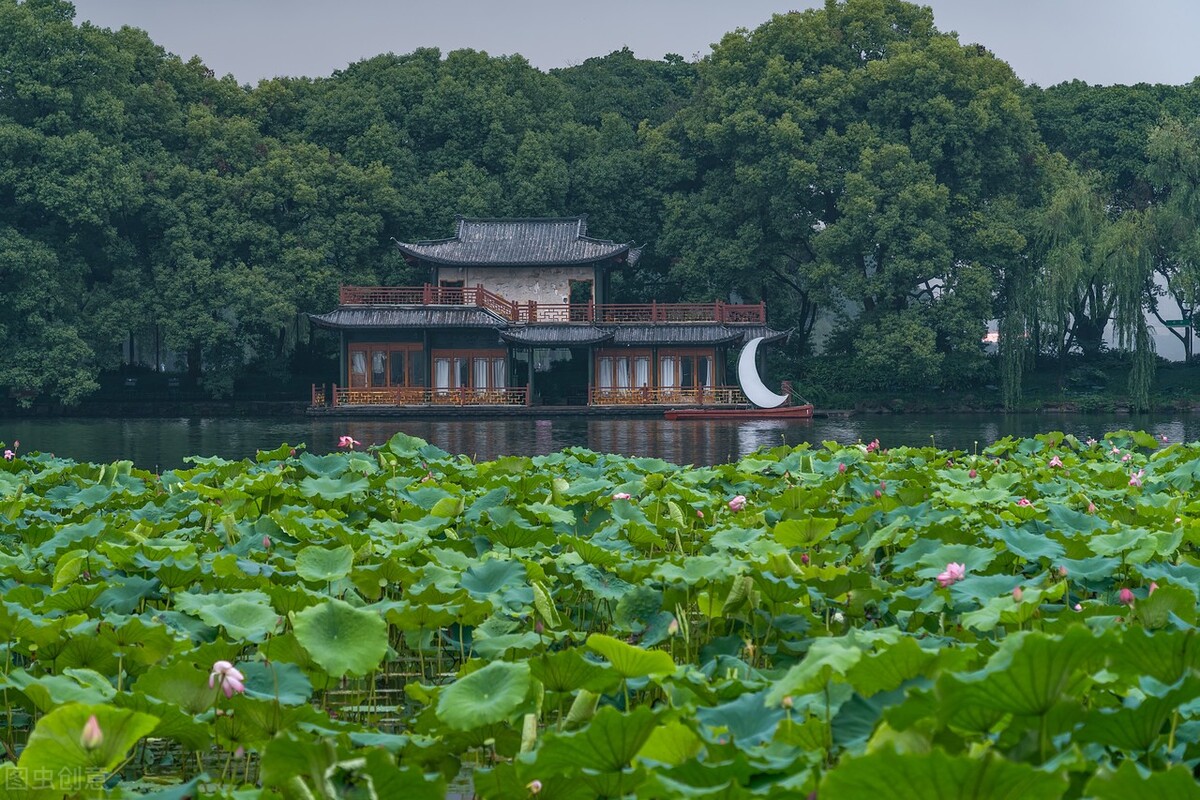 晓出净慈寺送林子方教案设计意图,晓出净慈寺送林子方10分钟教案