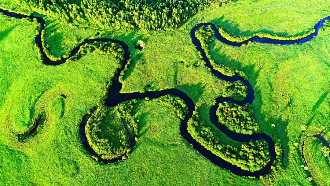 湿地可以开发什么旅游项目,黑龙江旅游必去十大湿地排名