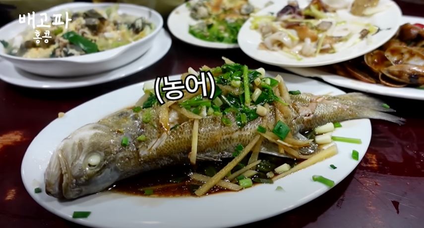 韩国人评价白钟元美食,韩国美食家评价白钟元