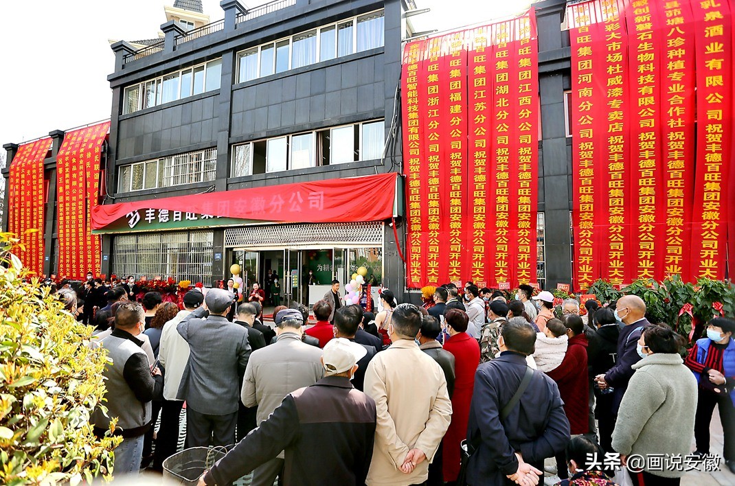 为耕者建市场，丰德百旺集团安徽分公司盛大开业仪式