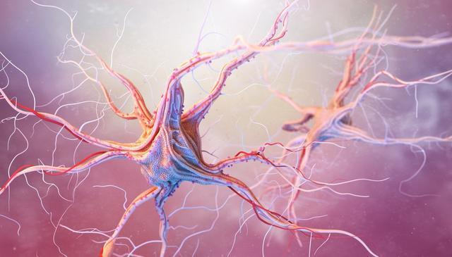 化疗引起周围神经病变,化疗导致周围神经病变