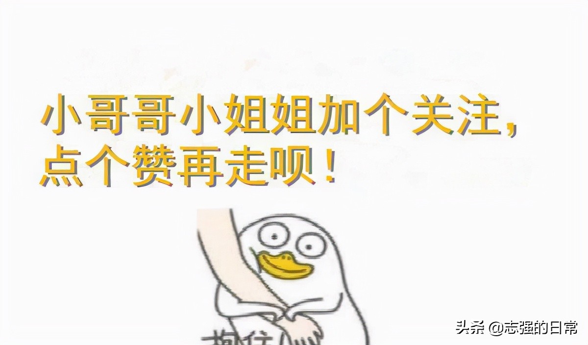 推荐50本熬夜看完的小说书荒必备,五本必读的小说推荐