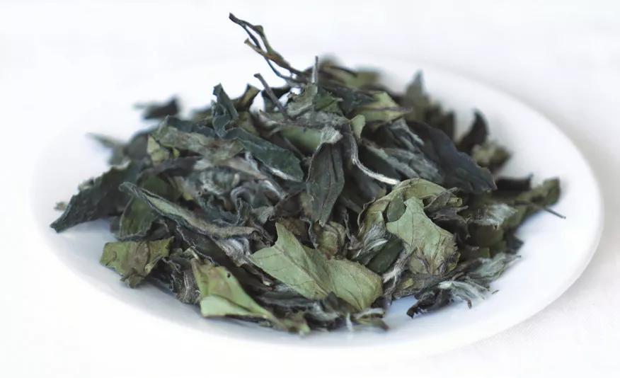 茶避坑,怎么避免买茶踩坑