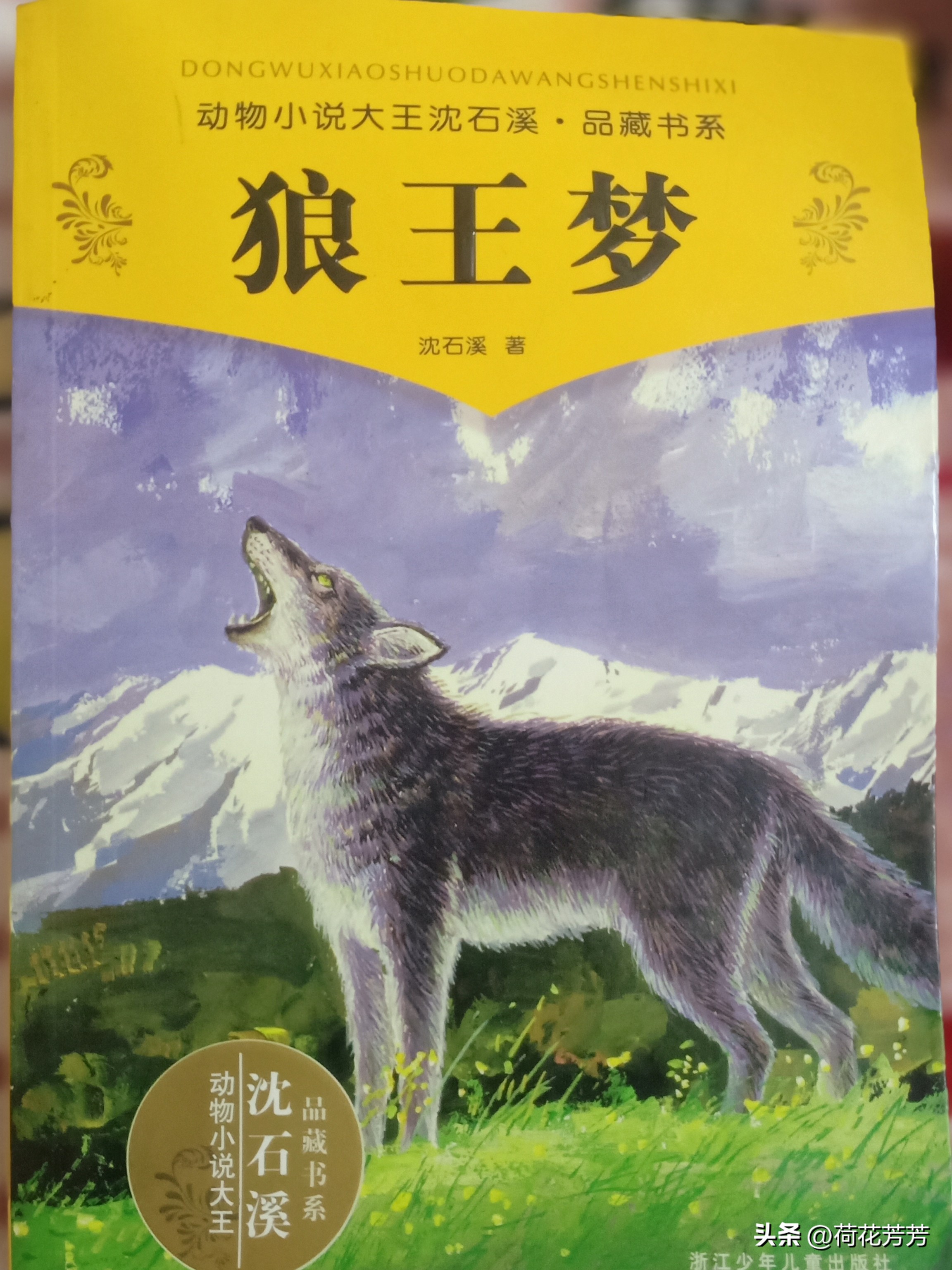 做自媒体写小说有用吗,自媒体写小说可以赚钱吗