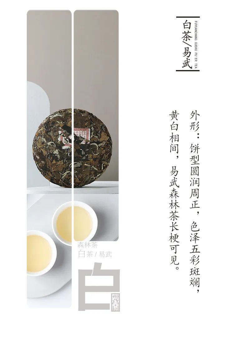 最好的易武好茶,易武茶的前世今生