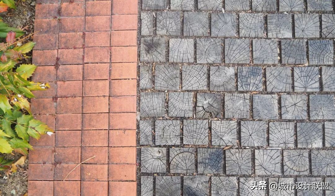 乡村振兴和乡村治理典型经验,乡村治理的发展与创新