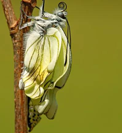 樱花树下，美女教练笑谈走出“怕风怕冷全身疼身心俱疲”的困境