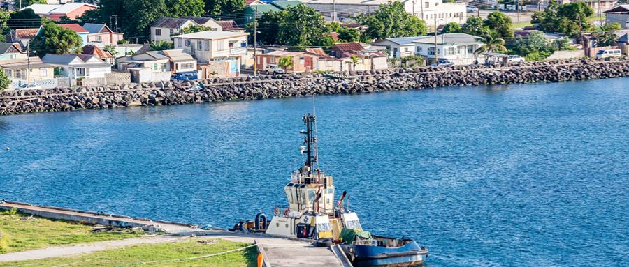 移民圣基茨的优势和劣势,移民圣基茨的弊端