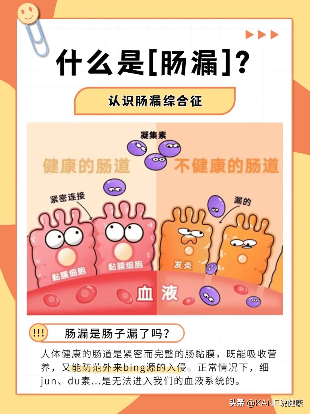 为什么每个人都要去做肠道菌群检测？