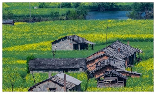 刘燕什么时候离婚的,刘燕离婚后的生活