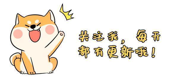 比熊吃鱼油有什么好处,比熊断尾的好处与坏处