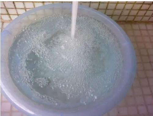 灭蟑螂用什么方法可以灭掉蟑螂,灭蟑螂的最好方法彻底消灭蟑螂