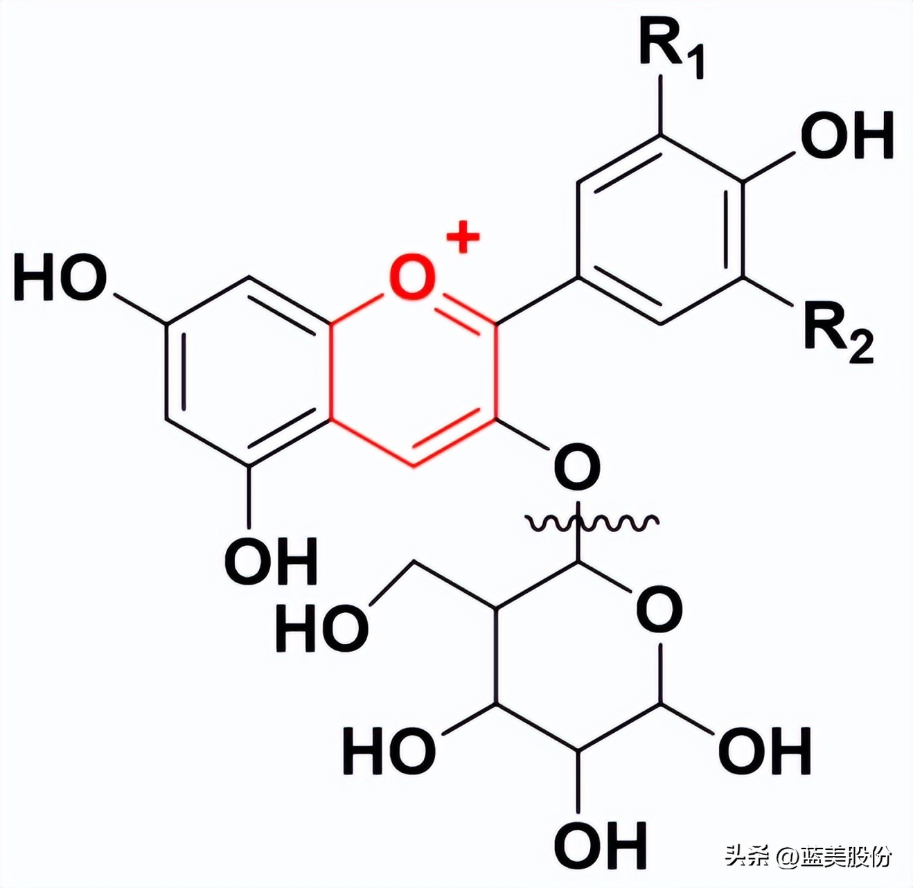水果蓝莓的营养成分有哪些,蓝莓的作用与功效血糖高吃蓝莓
