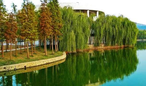 每日一校:中国矿业大学(北京)