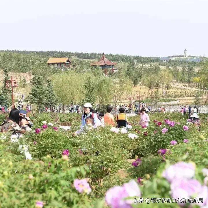 一个温暖的城市鄂尔多斯,鄂尔多斯一个温暖世界的城市