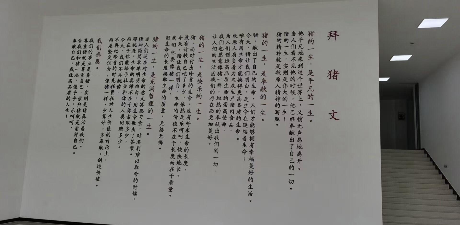 中国最牛贫困户的翻身战！他靠22头猪发家，死磕猪生意成河南首富