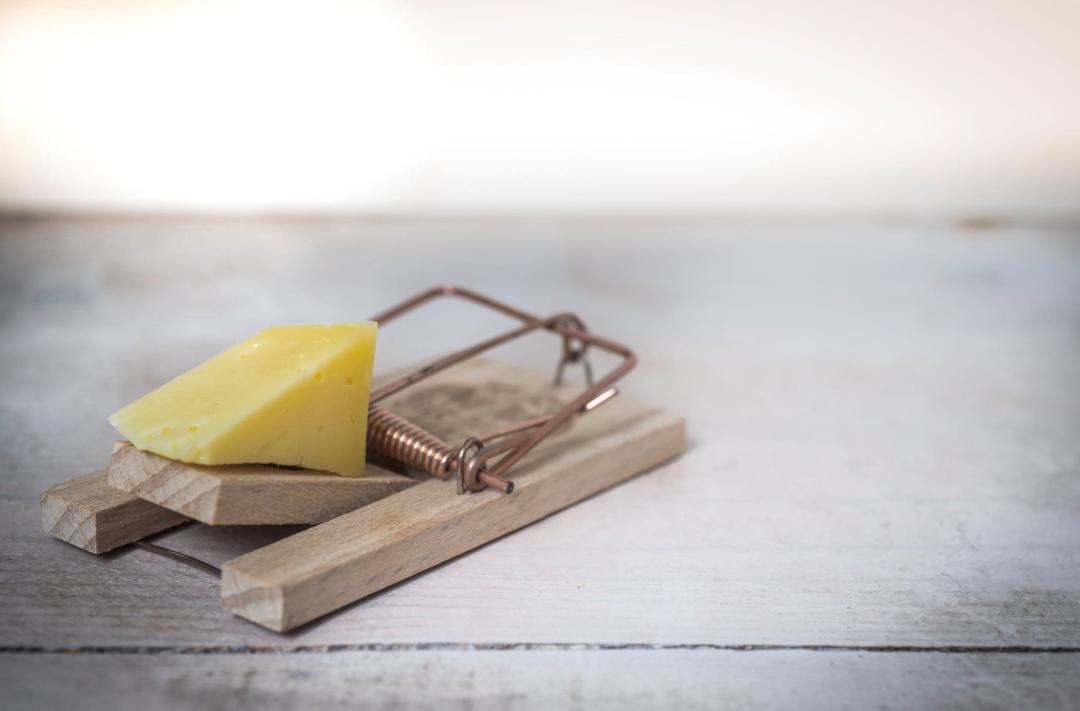 说文解字吉,吉的说文解字