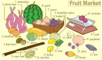 英语高频词汇听力,雅思听力场景词汇