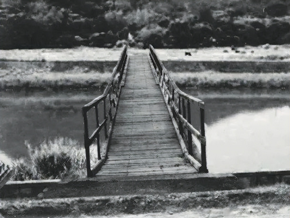 香港罗湖口岸封关,香港封关即将到期是否解封