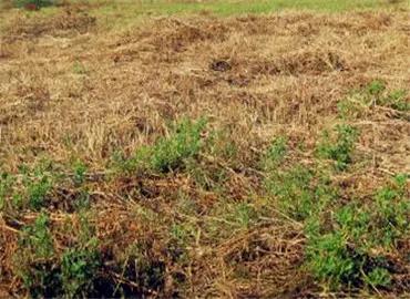 农村土地收归集体统一管理方案,国有土地被确权给农民如何处理