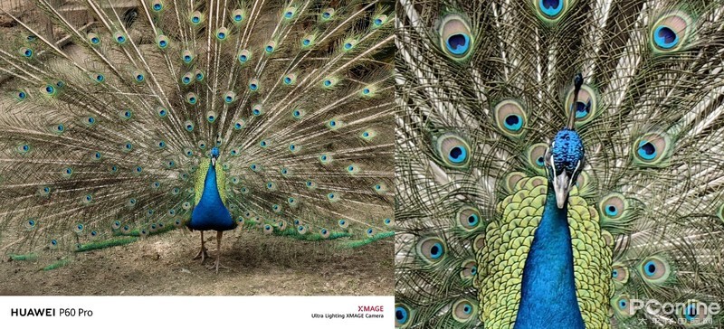 华为p60artdxomark影像最新得分榜,dxomark最新排名华为p60pro