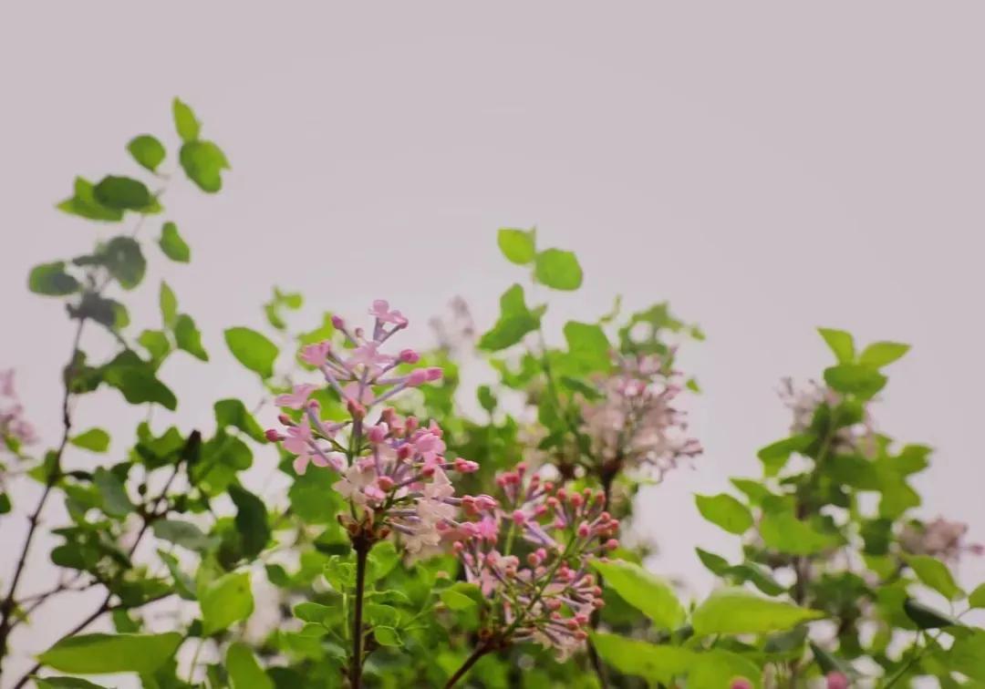 趣味答题赛介绍,趣味答题活动报道