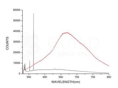 南洋金珠属于珍珠什么级别,鉴定书南洋金珠是不是海水珍珠