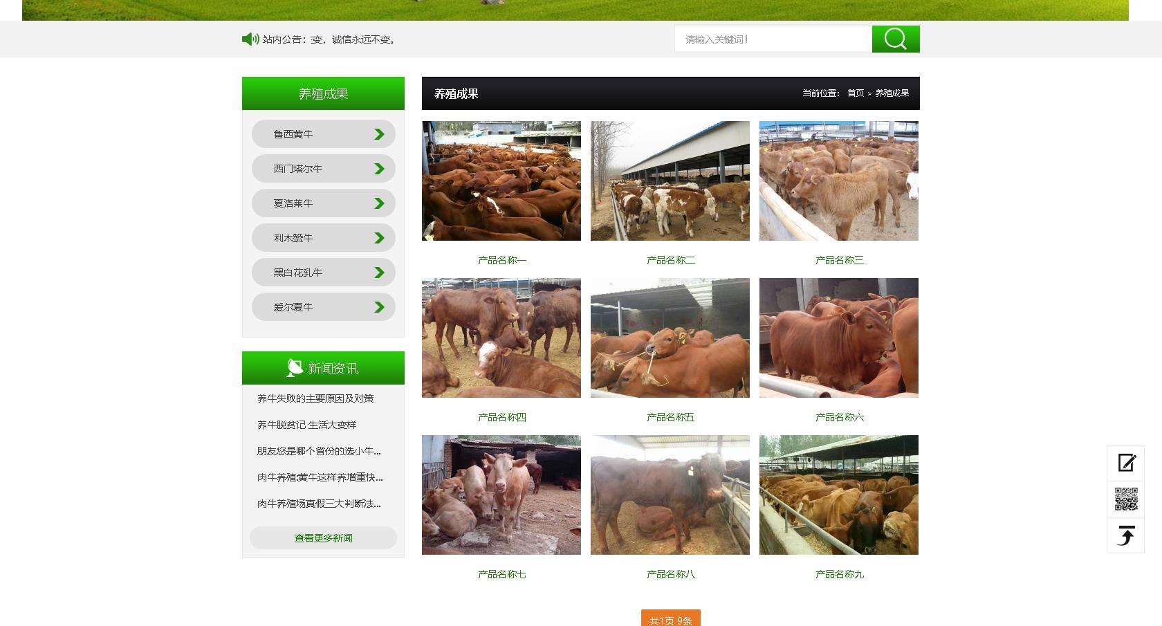 php程序宝塔搭建教程交流,宝塔php网站搭建教程