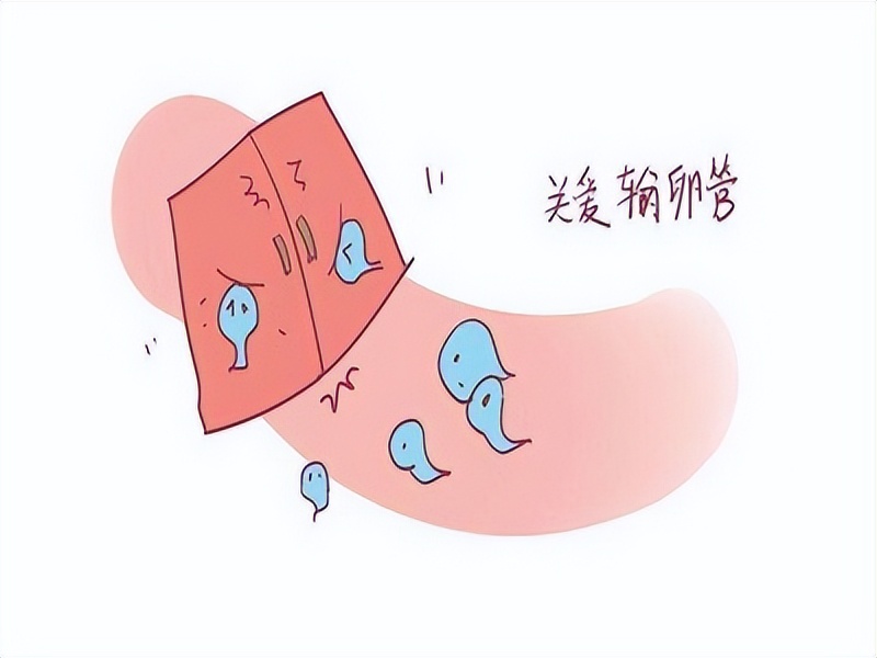 从未怀孕过,没有怀孕过输卵管堵塞怎么回事