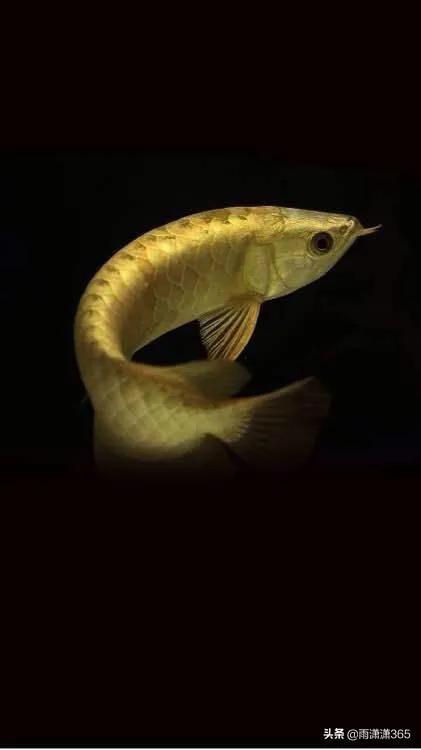 0007渣男分钱给大家